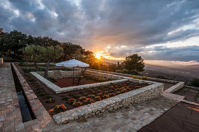 Guided Tour and Olive Oil Tasting in Ronda - Organic Olive Oil Tasting
