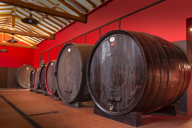 Guided Tour and Tasting in Acetaia in Modena - Key Points