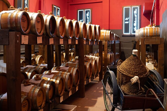 Guided Tour and Tasting in Acetaia in Modena - Knowledgeable and Engaging Tour Guides