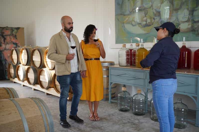 Guided Tour and Tasting of 4 Wines at Viñedo Dos Buhos - Key Points