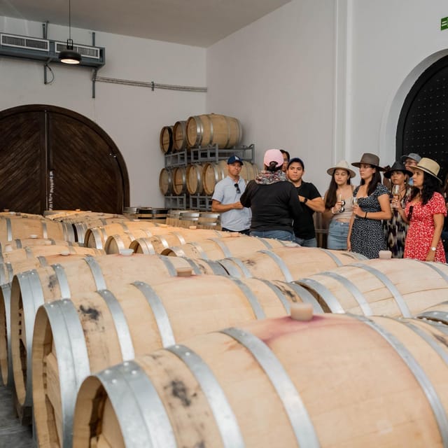 Guided Tour and Tasting of 4 Wines at Viñedo Dos Buhos - Tour Overview