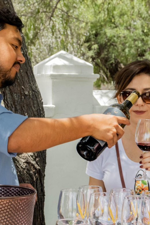 Guided Tour and Tasting of 4 Wines at Viñedo Dos Buhos - Vineyard History and Philosophy