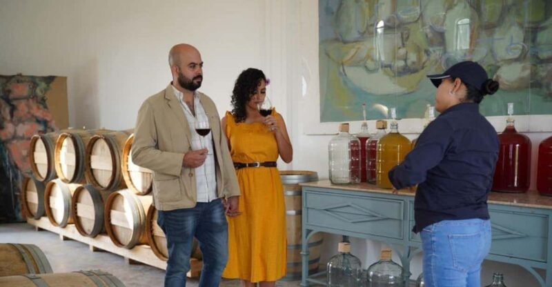 Guided Tour and Tasting of 4 Wines at Viñedo Dos Buhos - Organic Viticulture