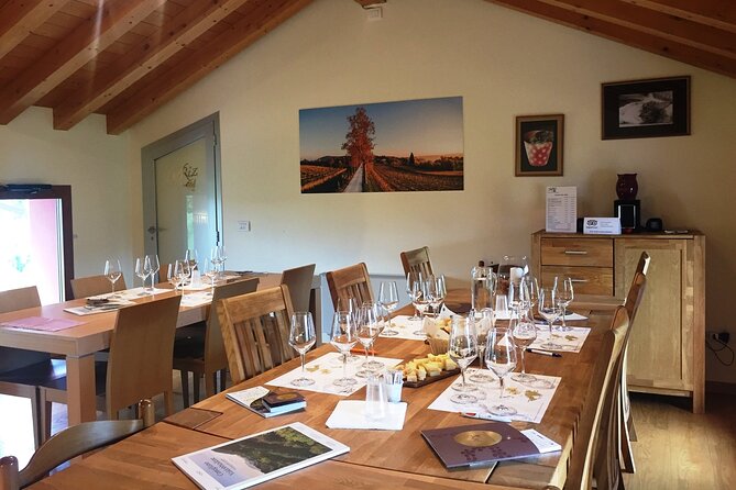 Guided Tour and Wine Tasting 5 Wines to Discover the Conegliano Valdobbiadene - Wine Tasting and Local Culture