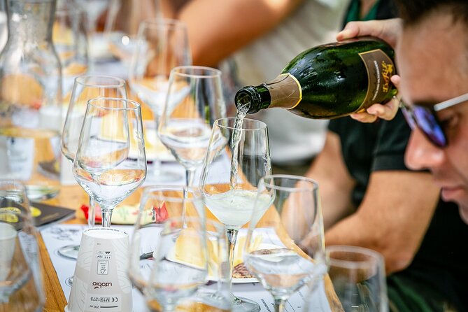 Guided Tour and Wine Tasting 5 Wines to Discover the Conegliano Valdobbiadene - Multilingual Tour Experiences