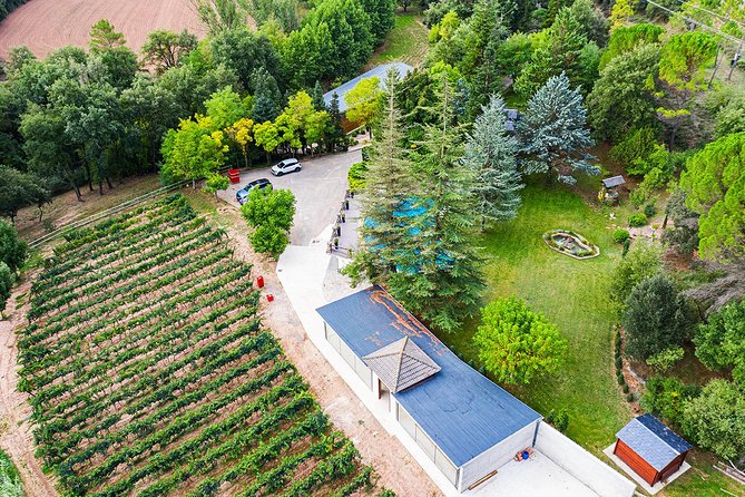 Guided Tour and Wine Tasting - Location and Meeting Point