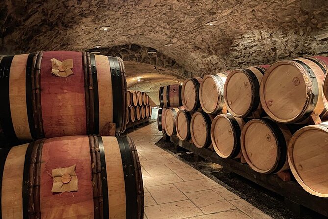 Guided Tour and Wine Tasting in the Northern Rhône Valley - Whats Included