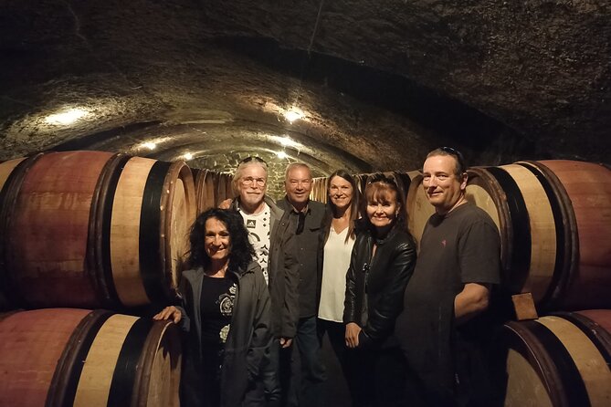 Guided Tour and Wine Tasting in the Northern Rhône Valley - Exploring the Northern Rhône Valley