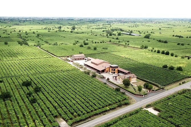 Guided Tour and Wine Tasting in the Sandro De Bruno Winery - Pricing and Availability