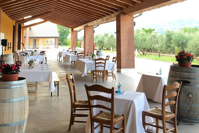 Guided Tour and Wine Tasting in the Sandro De Bruno Winery - Tour Description