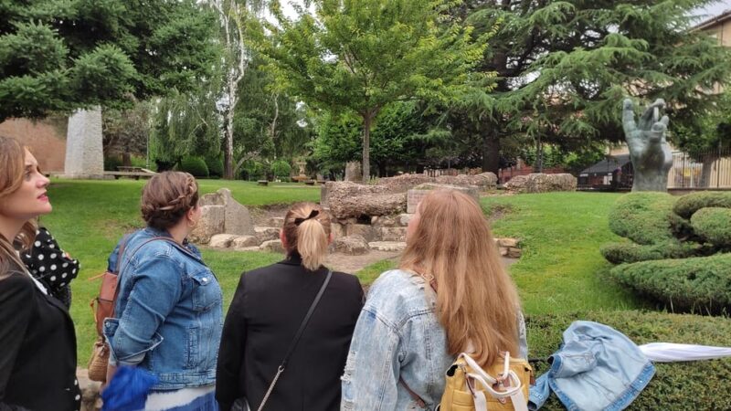 Guided Tour Around León - Walking Along the Roman Wall
