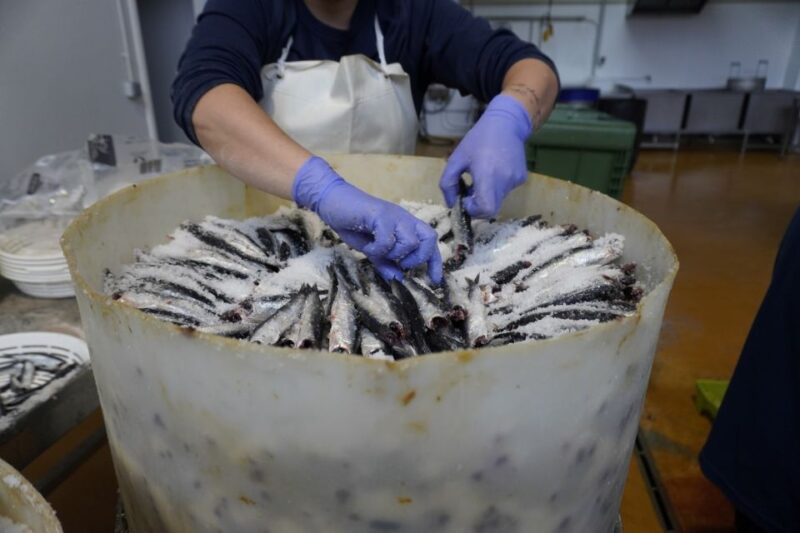 Guided Tour at the Anchovy Factory of Santoña - Anchovy Production Process