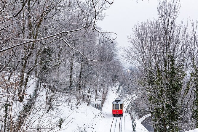 Guided Tour Basilica of Superga and Traditional Tramway Ride - Frequently Asked Questions
