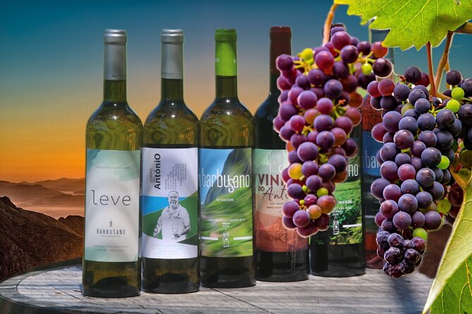 Guided Tour Beyond Vineyards Cabo Girão Skywalk and 4x4 Adventure - Inclusions and Costs