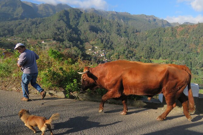 Guided Tour Beyond Vineyards Cabo Girão Skywalk and 4x4 Adventure - Adventurous 4x4 Excursion