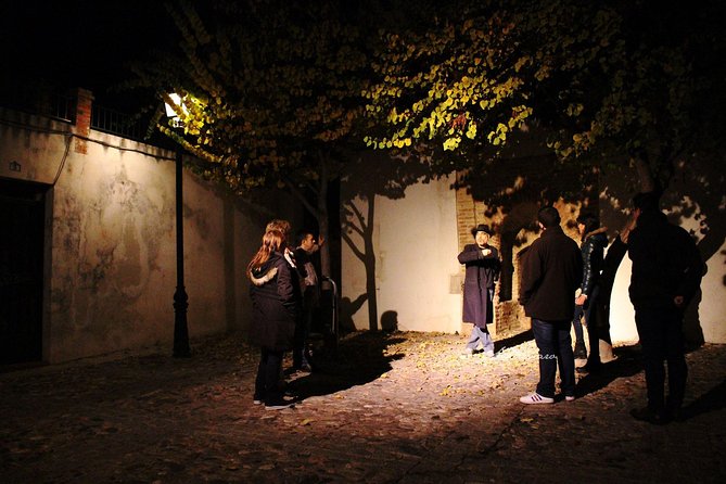 Guided Tour Conspiracy in the Albaicín - Tour Details