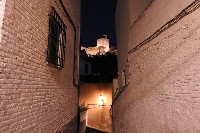 Guided Tour Conspiracy in the Albaicín - Guide and Experience