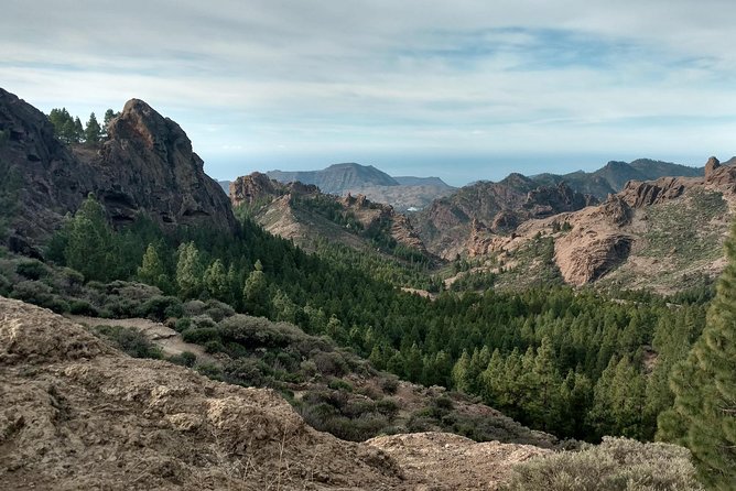 Guided Tour: Discover Gran Canaria - Outdoor Adventure Activities