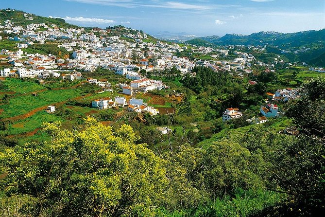 Guided Tour: Discover Gran Canaria - Transportation and Logistics