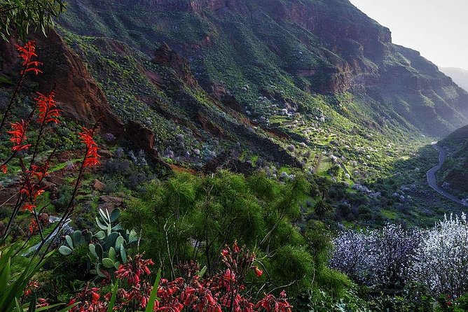 Guided Tour: Discover Gran Canaria - Related Attractions and Excursions