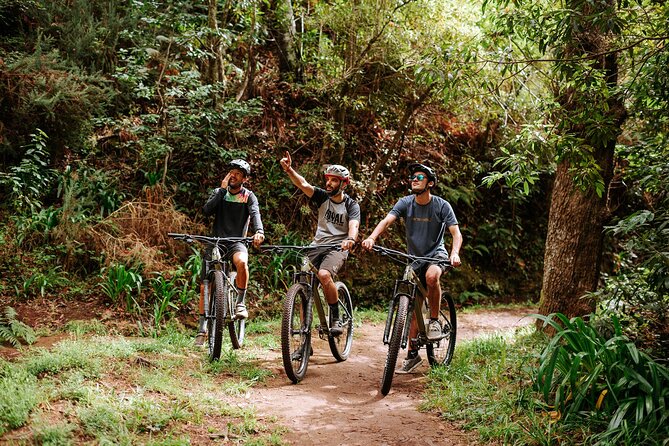 Guided Tour Electric Mountain Bike Experience - Quick Points