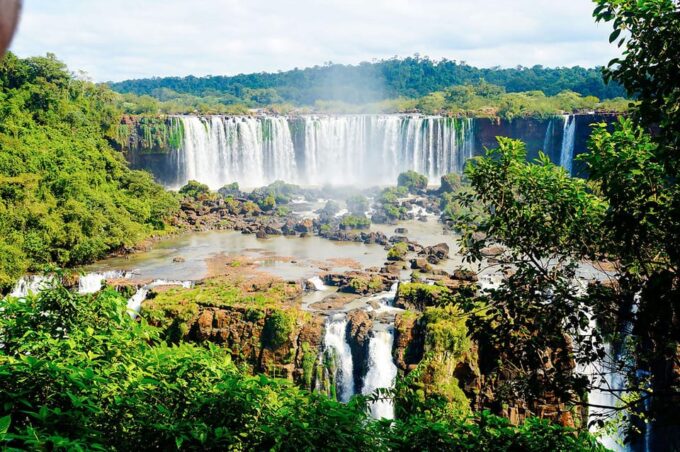 Guided Tour - Explore the Waterfalls Brazil and Bird Park - Conservation and Education Efforts