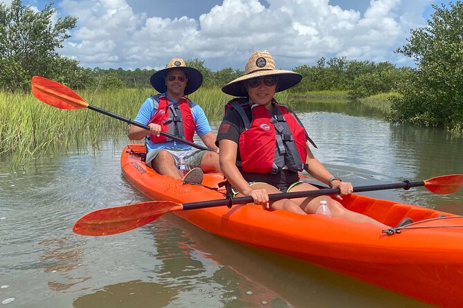 Guided Tour for Dolphin & Sea Turtle Observation in Saint Augustine, Florida - Observing Local Wildlife