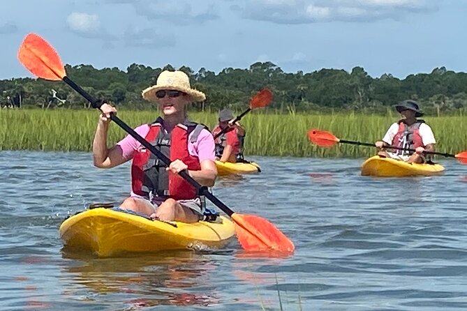 Guided Tour for Dolphin & Sea Turtle Observation in Saint Augustine, Florida - Tour Inclusions