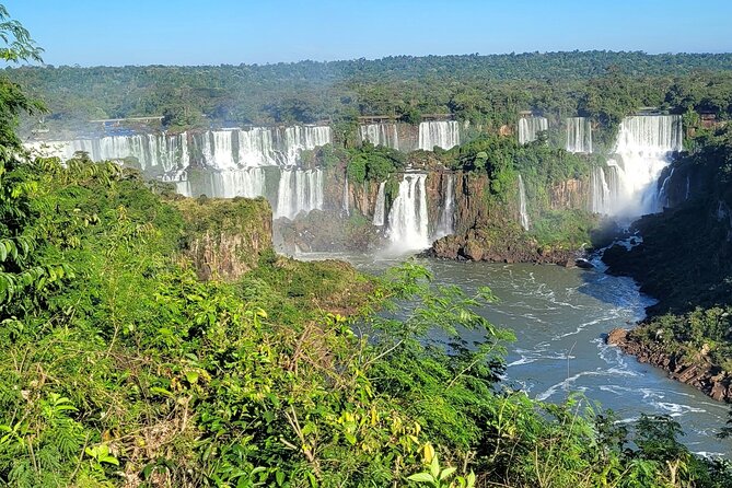 Guided Tour Iguaçu Falls - Brazil and Bird Park - Taking in the Bird Park Experience