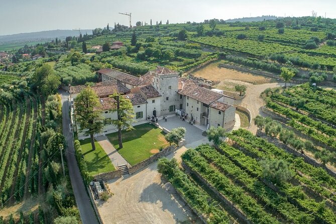 Guided Tour in a Venetian Villa With Valpolicella Wine Tasting - Meeting and Logistics