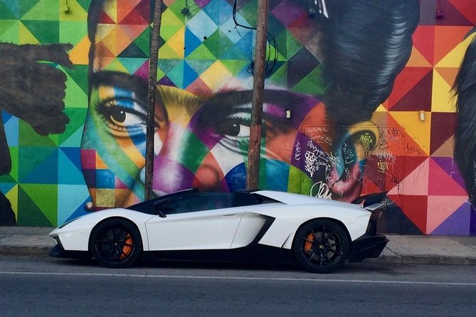 Guided Tour in French of Wynwood - Street Art (Offroad) - Discovering Hidden Gems and Alleyways
