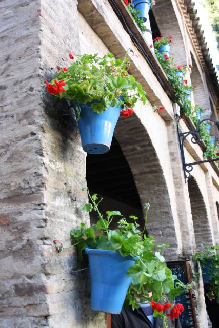 Guided Tour in Spanish to the Courtyards of Córdoba - Key Points