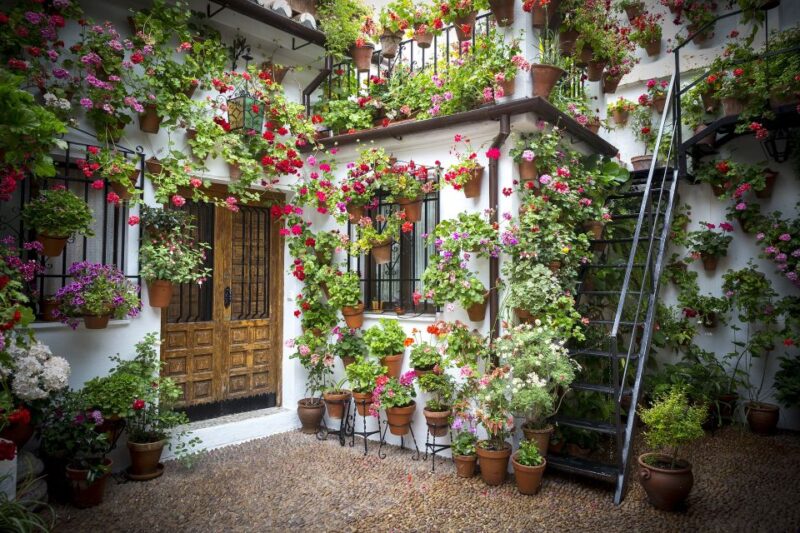 Guided Tour in Spanish to the Courtyards of Córdoba - Cultural Significance