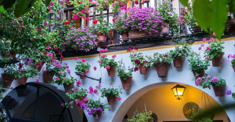 Guided Tour in Spanish to the Courtyards of Córdoba - Tour Availability