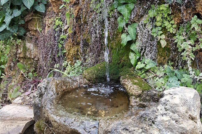 Guided Tour in Talanta Watermill & Liotrivi Historical Estate With Tasting &Meal - Booking Information
