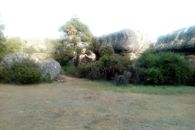 Guided Tour in the Enchanted City - Tour Details