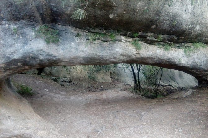 Guided Tour in the Enchanted City - Highlights of the Enchanted City