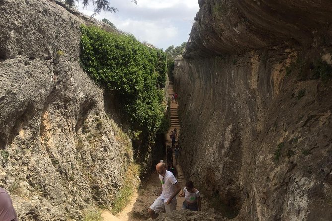 Guided Tour in the Enchanted City - What to Expect on the Tour