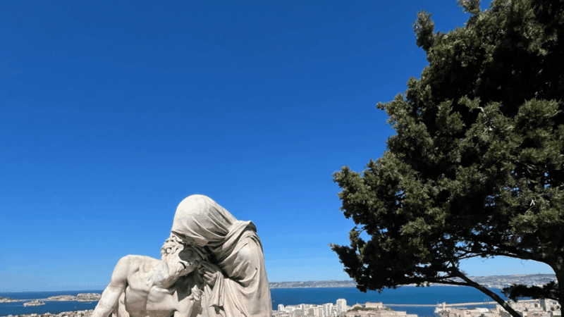 Guided Tour in the Heart of Marseille! - Tour Experience