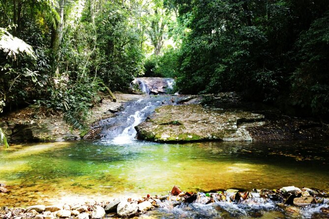 Guided Tour in Tijuca Forest With Transfer - Tour Inclusions