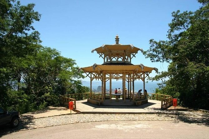 Guided Tour in Tijuca Forest With Transfer - Accessibility and Participation