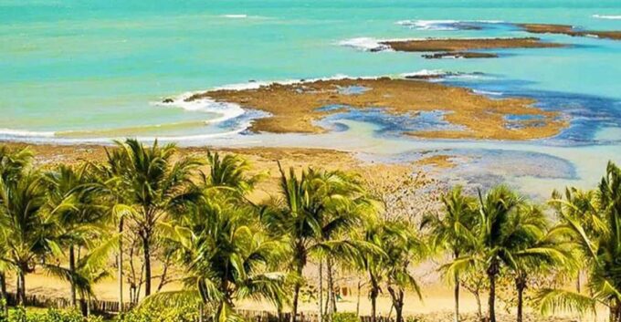 Guided Tour in Trancoso: Discover the Best Beaches - Accessibility and Contact Information