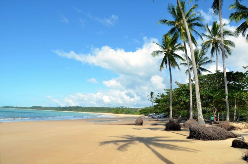 Guided Tour in Trancoso: Paradise Beaches - Itinerary