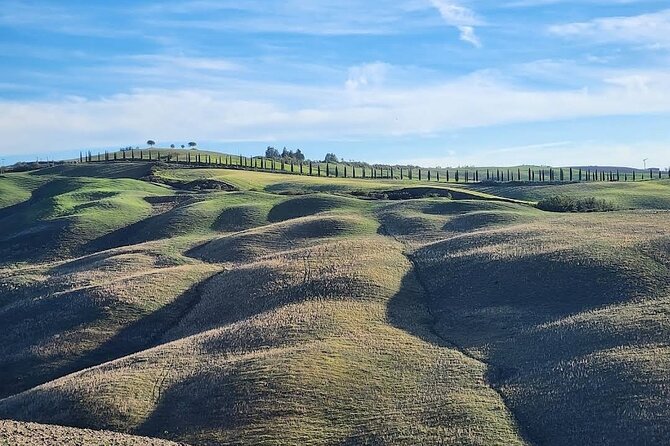 Guided Tour in Wonderful Tuscany - Comfortable Transportation Provided