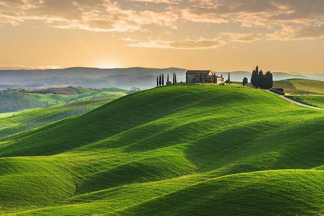 Guided Tour in Wonderful Tuscany - Delectable Dining Options
