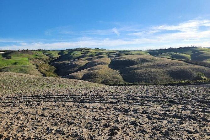Guided Tour in Wonderful Tuscany - Unforgettable Memories Captured