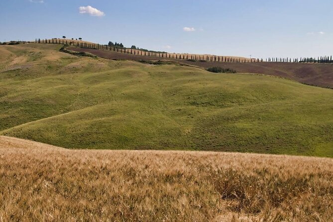 Guided Tour in Wonderful Tuscany - Frequently Asked Questions