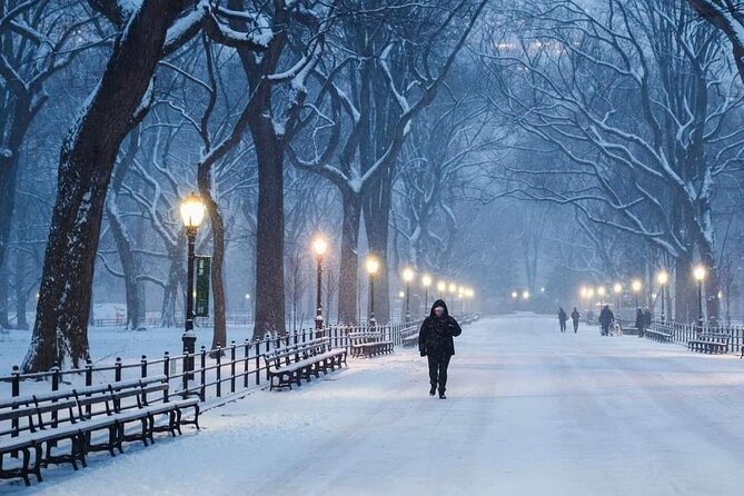 Guided Tour Inside Central Park With Pedicab - What to Expect During the Tour