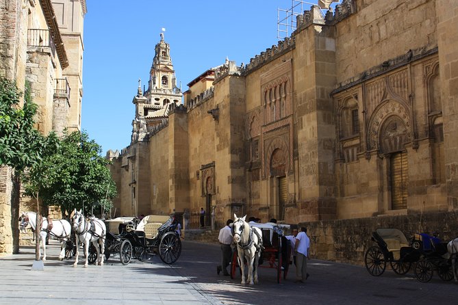 Guided Tour Jewish Quarter and Mosque-Cathedral of Córdoba With Tickets - Accessibility Options