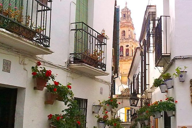 Guided Tour Jewish Quarter and Mosque-Cathedral of Córdoba With Tickets - Additional Tour Insights